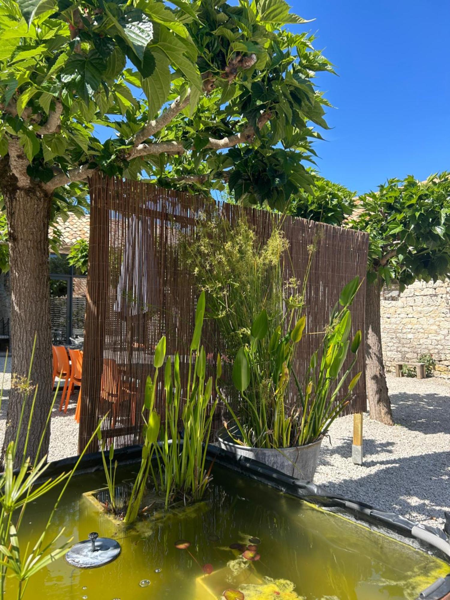 Les Fontanelles Du Quercy Blanc Villa Montcuq Dış mekan fotoğraf